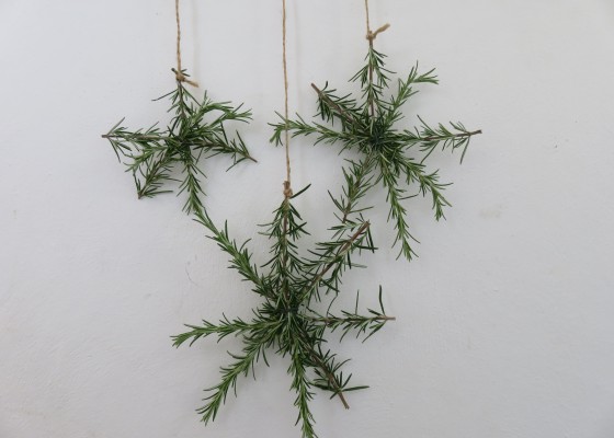 rosemary snowflake