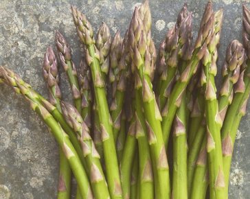 asparagus