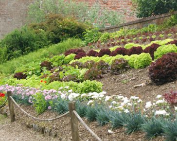 garden design at trengwainton