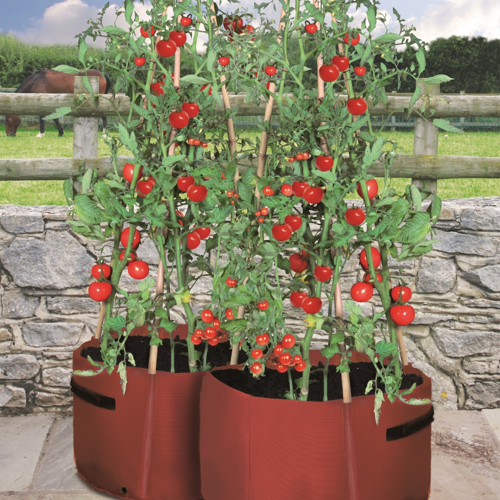 Tomato Patio Planter With 3 Cane Support Pockets 2 Pack Rocket