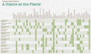 find your perfect veg patch