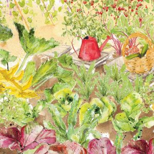 Family Favourites Veg Patch (Autumn)