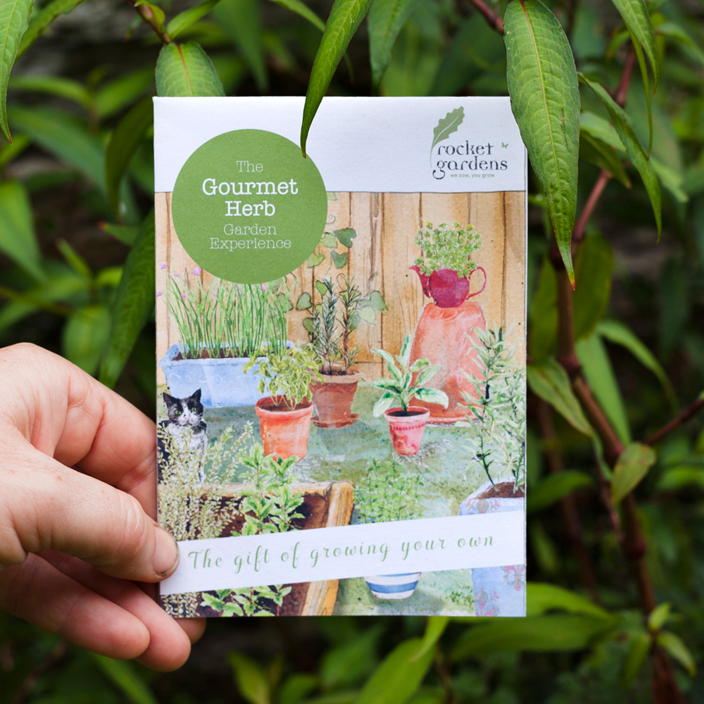 Gourmet Herb Garden Experience Gift Voucher Rocket Gardens