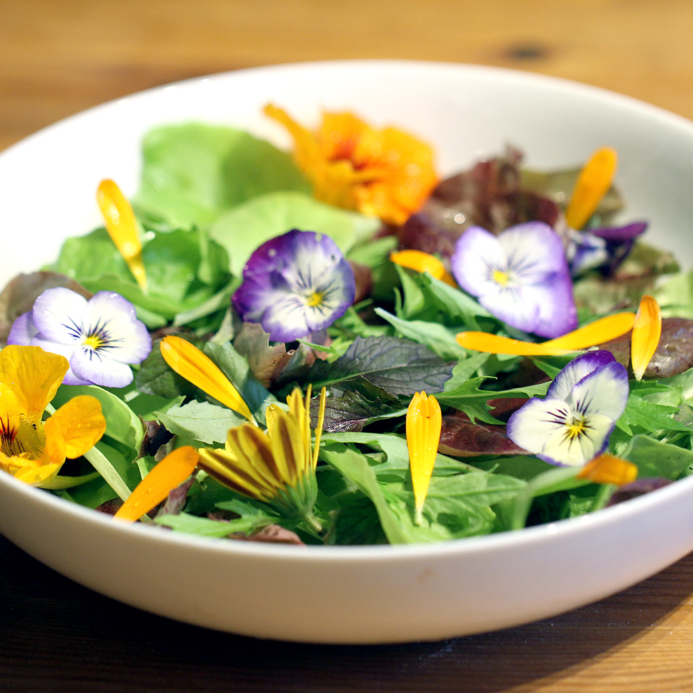 Edible Flower Collection